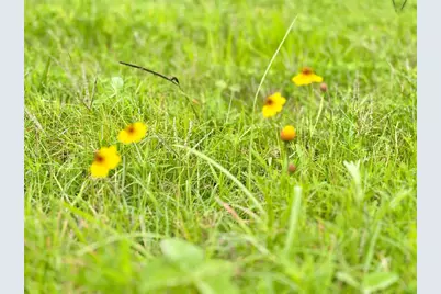 Tbd Tract 105 Pin Tail Lane, Columbus, TX 78934 - Photo 13