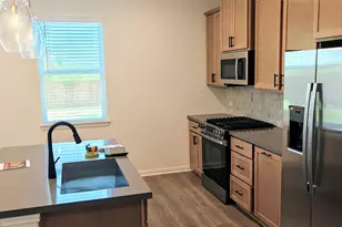 1417 Purple Martin Dr, Austin, TX 78660 - Photo 5