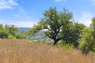 5818 Ranch Road 165, Blanco, TX 78606 - Photo 35