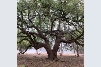 5818 Ranch Road 165, Blanco, TX 78606 - Photo 37