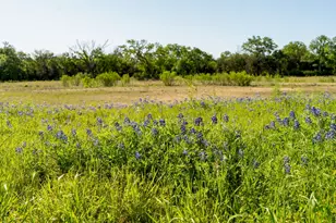308 Hanging Star Ln, Georgetown, TX 78633 - Photo 23