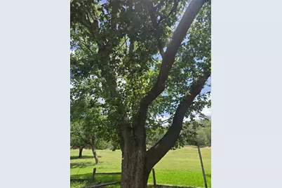 184 Kahana Lane, Bastrop, TX 78602 - Photo 7