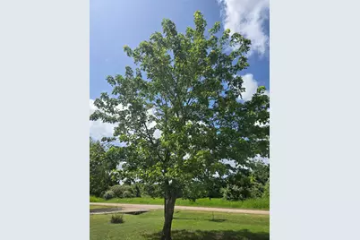 184 Kahana Lane, Bastrop, TX 78602 - Photo 5