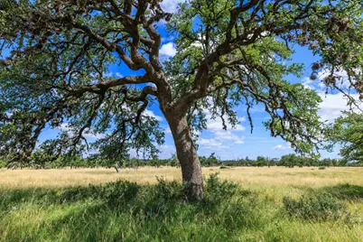 Lot 94 Stock Pond Drive, Fredericksburg, TX 78631 - Photo 31