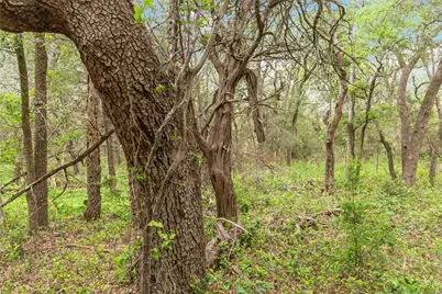 1306 Thousand Oaks Loop, San Marcos, TX 78666 - Photo 19