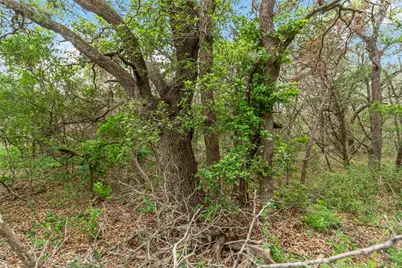 1306 Thousand Oaks Loop, San Marcos, TX 78666 - Photo 11