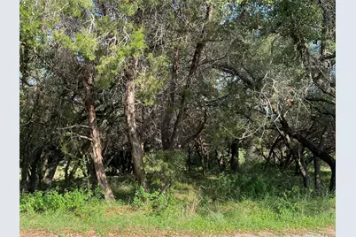 1401 Sharps Road, Austin, TX 78734 - Photo 5