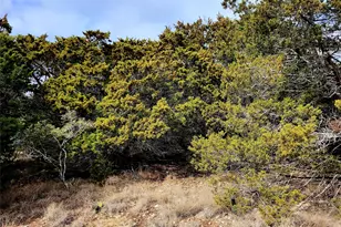 2066 Stallion Springs Dr, Fischer, TX 78623 - Photo 1