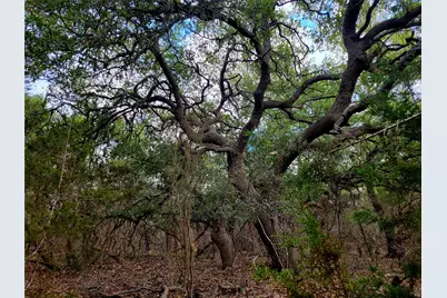 2066 Stallion Springs Drive, Fischer, TX 78623 - Photo 3