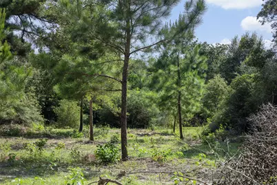 422 Private Road 7051 Road, Milano, TX 76556 - Photo 5