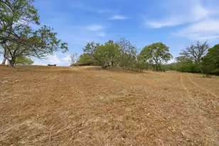 3500 Scull Rd, Martindale, TX 78655 - Photo 37