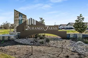 314 Durango Downs Dr, Hutto, TX 78634 - Photo 21