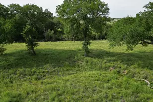 Lot 29 Serenity Dr, Bertram, TX 78605 - Photo 9