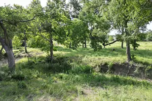 Lot 29 Serenity Dr, Bertram, TX 78605 - Photo 3