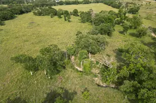 Lot 29 Serenity Dr, Bertram, TX 78605 - Photo 11