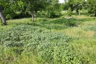 Lot 29 Serenity Dr, Bertram, TX 78605 - Photo 25