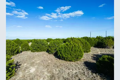 Tbd Cherry Laurel Lane, Lampasas, TX 76550 - Photo 13
