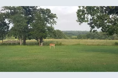 3873 Fm 1624, Lincoln, TX 78948 - Photo 29