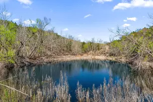 582 Delaware Creek Rd, Blanco, TX 78006 - Photo 29