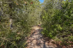 181 Lockwood Rd, Red Rock, TX 78662 - Photo 31