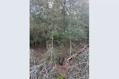 Lot 376 Palikea Circle, Bastrop, TX 78602 - Photo 5