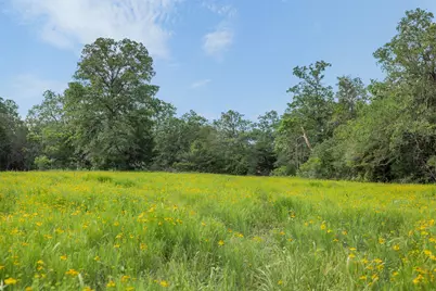 Tbd County Road 459 Road, Thorndale, TX 76577 - Photo 11