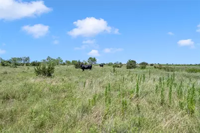 10600 County Road 210 Road, Bertram, TX 78605 - Photo 29