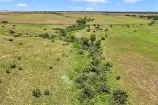 10600 County Road 210 Rd, Bertram, TX 78605 - Photo 9