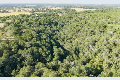 4170 Elm Grove Road, Belton, TX 76513 - Photo 21