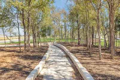 155 Tolo Drive, Elgin, TX 78621 - Photo 29