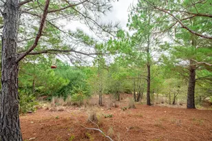 157 Lakeside Dr, Bastrop, TX 78602 - Photo 23