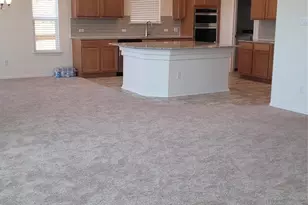 4457 Acerno St, Round Rock, TX 78665 - Photo 11