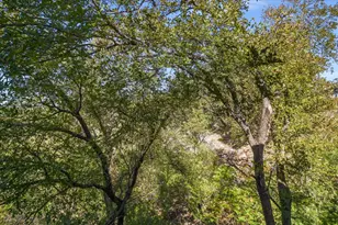 8200 Neely Dr, Austin, TX 78759 - Photo 19