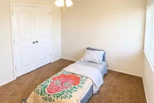 243 Druse Ln, Jarrell, TX 76537 - Photo 23
