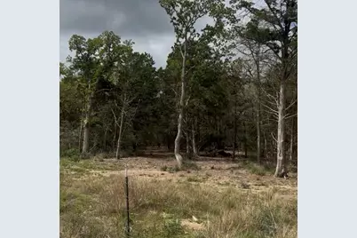 Lot 14 & Lot 15 Antioch Road, Paige, TX 78659 - Photo 5