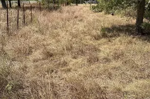 123 Oak Forest Ct, Cedar Creek, TX 78612 - Photo 1