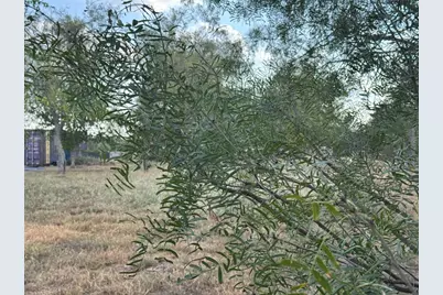 490 Rosewood Drive, Dale, TX 78616 - Photo 11