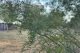 490 Rosewood Dr, Dale, TX 78616 - Photo 11