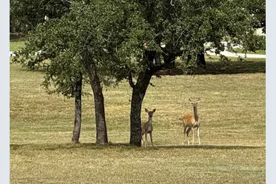 Tbd Cloudwood Ranch Road, Briggs, TX 78608 - Photo 3