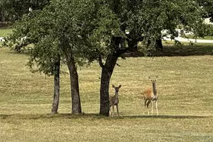 Tbd Cloudwood Ranch Rd, Briggs, TX 78608 - Photo 3