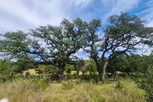 Tbd Cloudwood Ranch Rd, Briggs, TX 78608 - Photo 13