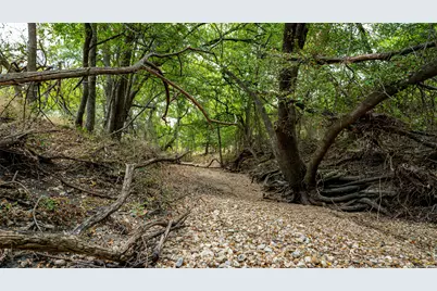 Tbd County Road 414, Buckholts, TX 76518 - Photo 5