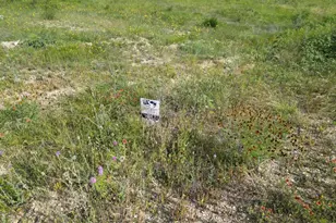 Lot 30 Serenity Dr, Bertram, TX 78605 - Photo 7