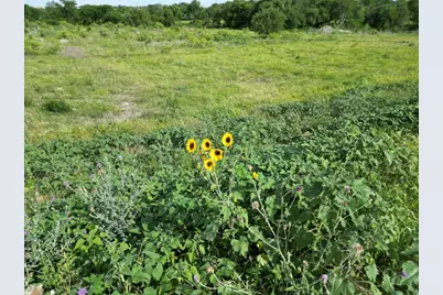 Lot 30 Serenity Drive, Bertram, TX 78605 - Photo 11
