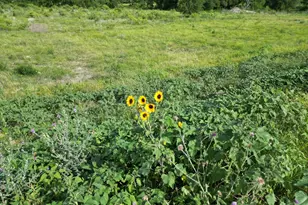 Lot 30 Serenity Dr, Bertram, TX 78605 - Photo 11