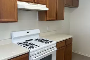 1105 Christopher Ave, Round Rock, TX 78681 - Photo 17