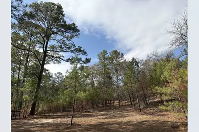 217 Kestrel Lane, Red Rock, TX 78662 - Photo 7