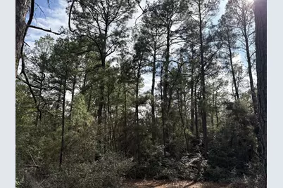 217 Kestrel Lane, Red Rock, TX 78662 - Photo 9