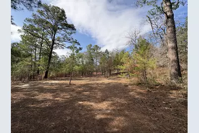 217 Kestrel Lane, Red Rock, TX 78662 - Photo 5