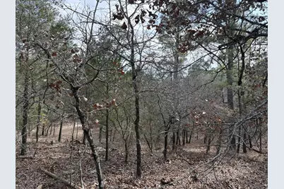 217 Kestrel Lane, Red Rock, TX 78662 - Photo 11